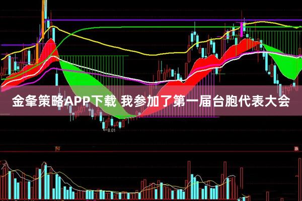 金夆策略APP下载 我参加了第一届台胞代表大会